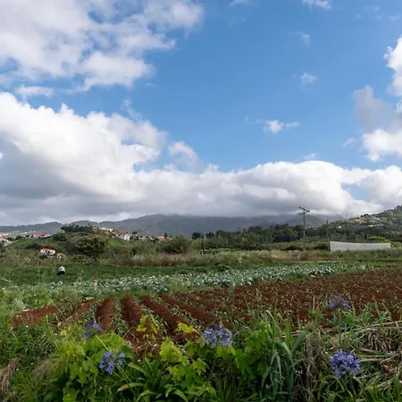 Vakantiehuis Casa Do Farol By An Island *